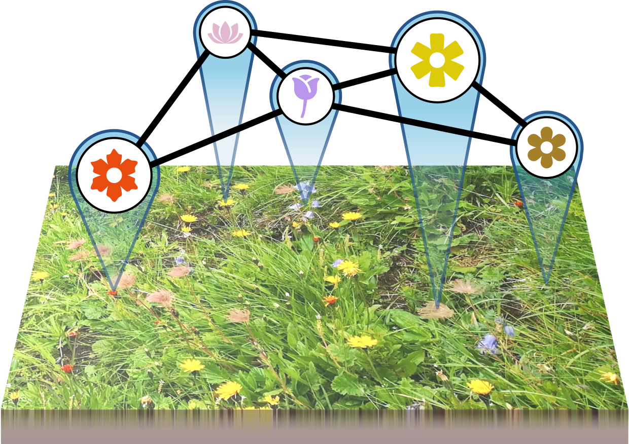 EcoGraph